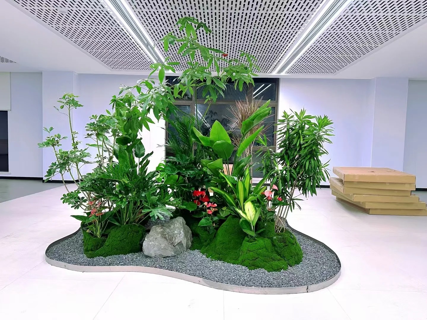 余姚盆景租摆哪家好？这份指南助你找到心仪之选！