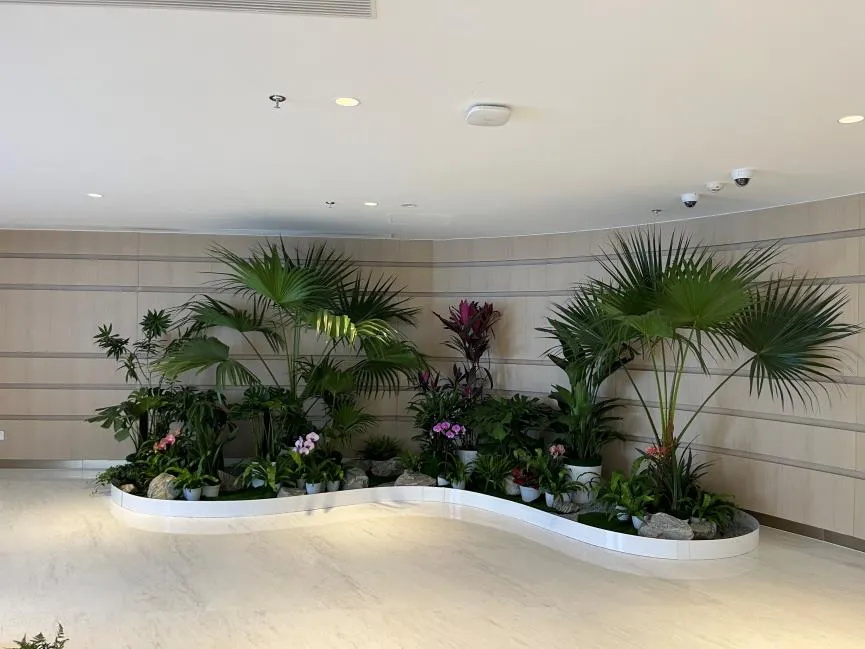 探寻宁波海曙实惠花木租摆，开启绿色生活！